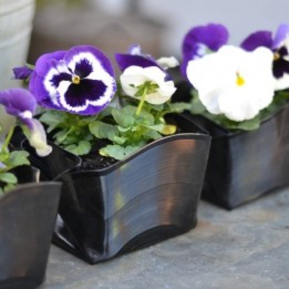 Random Records - Picture 8 of 8